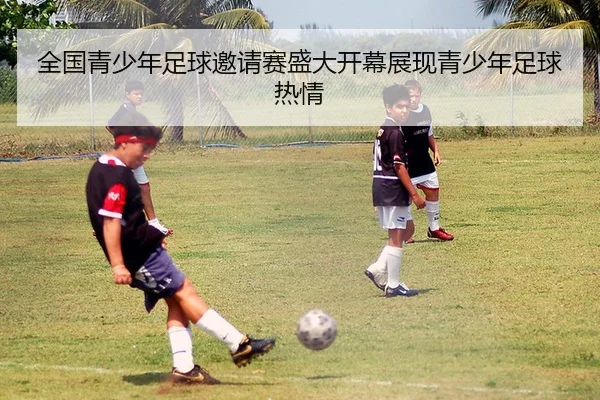 全国青少年足球邀请赛盛大开幕展现青少年足球热情