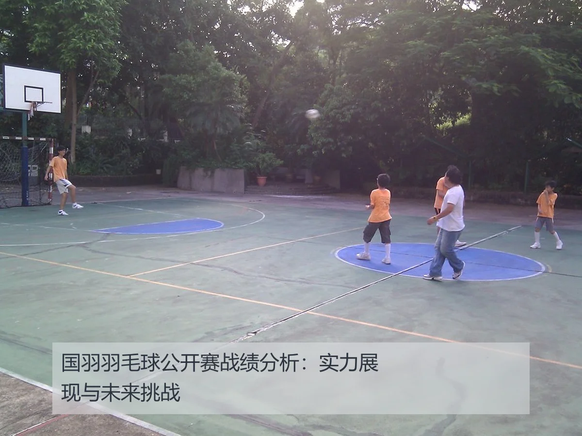 国羽羽毛球公开赛战绩分析：实力展现与未来挑战